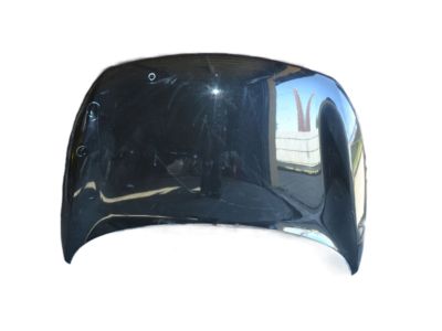 Kia K900 Hood - 664003T000