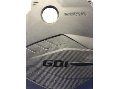 2021 Kia Sorento Engine Cover - 292402S050