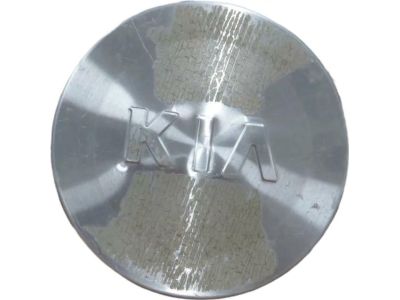 Kia 529604D850