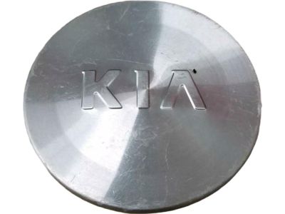 Kia 529604D850