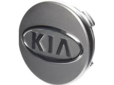 Kia 529604D850