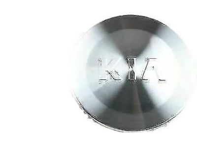 Kia 529604D850