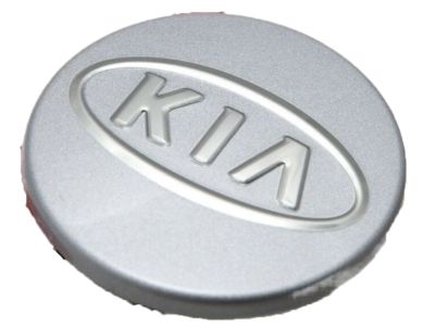 Kia 529601F610