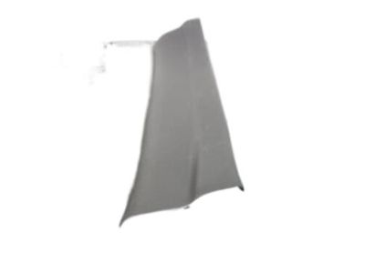 Kia 858752P000VA Trim Assembly-Rear Door SCUFF