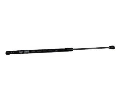 Kia 811613T000