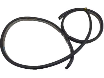 Kia Spectra Door Seal - 821402F000