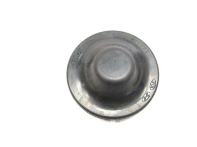 Kia 54648A5000 Cap-Front