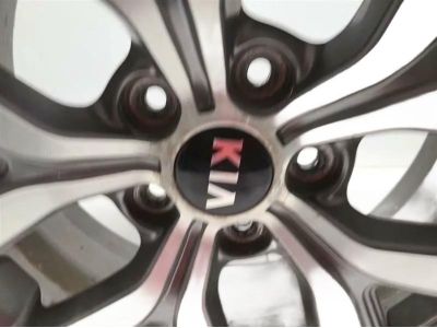 Kia 529103W610
