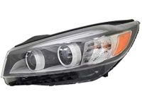 Kia 92101C6000 Driver Side Headlight Assembly Kia 92101C6000 Driver Side Headlight Assembly