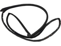 Kia 821303W000 Front Door Side Weatherstrip Assembly Kia 821303W000 Front Door Side Weatherstrip Assembly