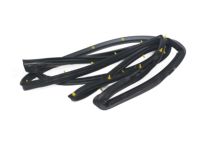 Kia 821403W000 Front Door Side Weatherstrip Assembly