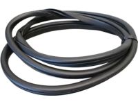Kia 83110G5000 Rear Door Body Side Weatherstrip Left Hand