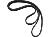 Kia 252123LTA0 Ribbed V Belt