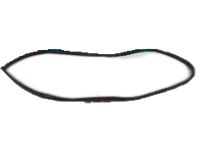 Kia 821101G001 Front Door Body Side Weatherstrip Kia 821101G001 Front Door Body Side Weatherstrip