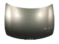 Kia 66400P1000 PANEL ASSY-HOOD Kia 66400P1000 PANEL ASSY-HOOD