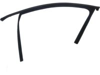 Kia 82530J5000 Front Door Window Glass Run Assembly Kia 82530J5000 Front Door Window Glass Run Assembly