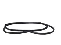 Kia 831302T000 Rear Door Side Weatherstrip Assembly Kia 831302T000 Rear Door Side Weatherstrip Assembly