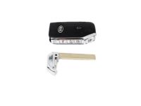 Kia 81999J7020 Blanking Pic Key