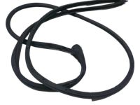 Kia 821402P000 Front Door Side Weatherstrip Assembly