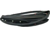 Kia 83130D9000 Rear Door Side Weatherstrip Assembly Kia 83130D9000 Rear Door Side Weatherstrip Assembly