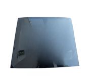 Kia 81630J5000 Panoramaroof Glass Assembly