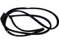 Kia 83110Q5000 Rear Door Body Side Weatherstrip