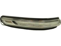 Kia 87613G5000 Outside Mirror Lamp Assembly Kia 87613G5000 Outside Mirror Lamp Assembly