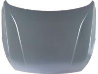 Kia 66400F6000 Hood Panel Assembly