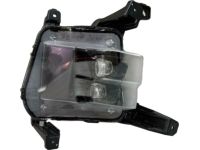 Kia 92202L2100 Front Fog Lamp Assembly Kia 92202L2100 Front Fog Lamp Assembly