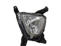 Kia 92202C6000 Front Fog Lamp Assembly Right Hand Kia 92202C6000 Front Fog Lamp Assembly Right Hand