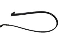 Kia 821602T000 WEATHERSTRIP-Door Opening Upper