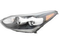 Kia 92101D9110 Driver Side Headlight Assembly