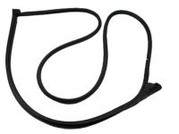 Kia 821302P000 Front Door Side Weatherstrip Assembly