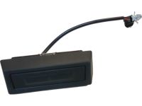 Kia 81720G5000 Handle Assembly-Tail Gate