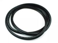 Kia 82120D9000 Front Door Body Side Weatherstrip