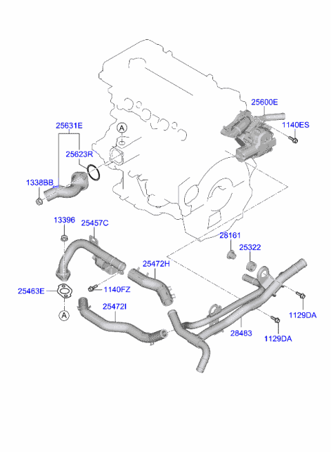 256202B600 Genuine Kia Housing Assembly-Thermostat