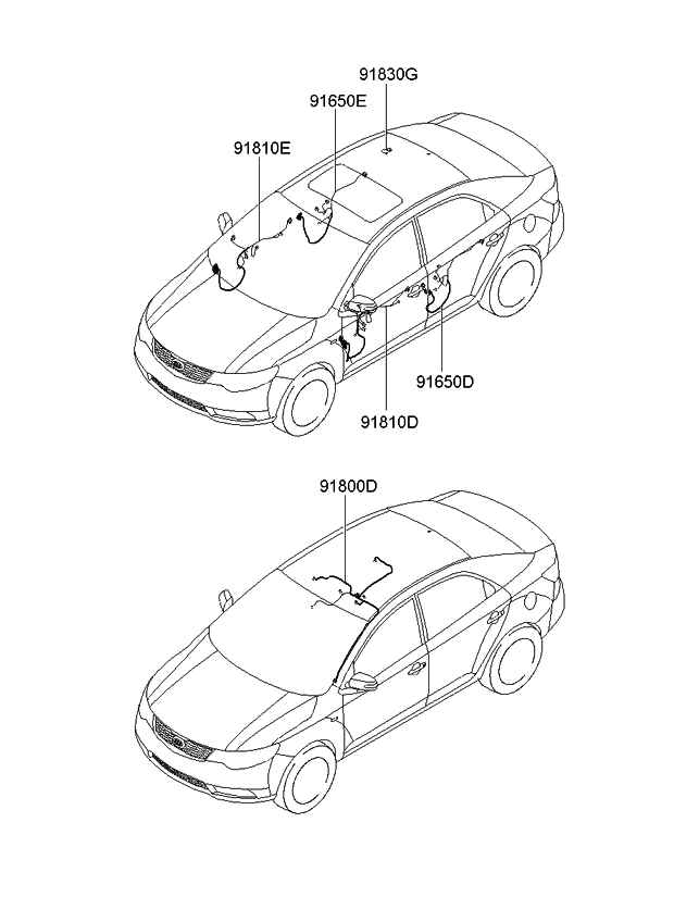 Kia 916101M401 Wiring Assembly-Front Door(Pa