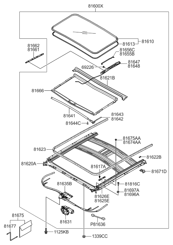 Kia 816133K000 Weatherstrip-Sunroof Glass