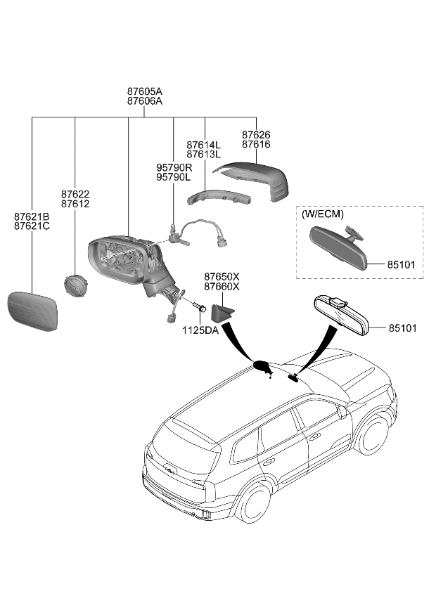 Diagram Car Mirrors Names corona.dothome.co.kr