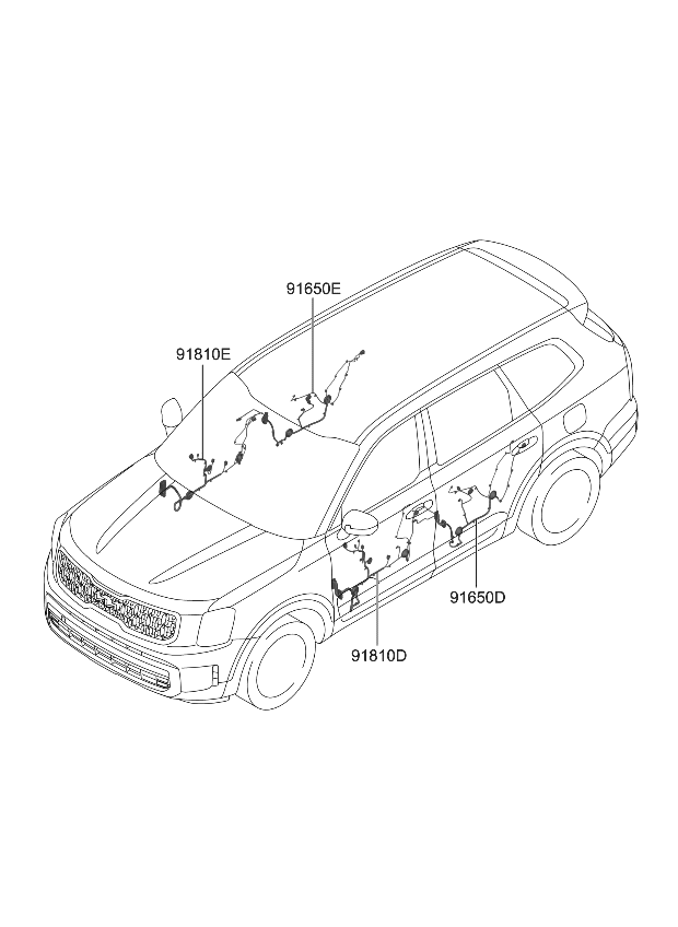 Kia 91605S9100 WIRING ASSY-FR DR(DR