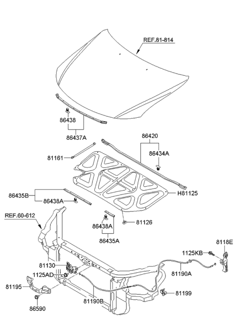 2008 Kia Optima Weatherstrip Assembly-Hood Diagram for 864302G500