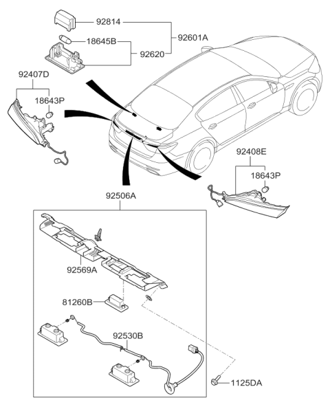 2017 Kia K900 License Lamp Holder & Wiring Diagram for 925303T500