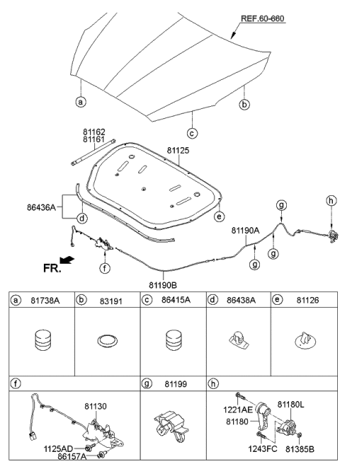 2015 Kia K900 Hood Trim Diagram