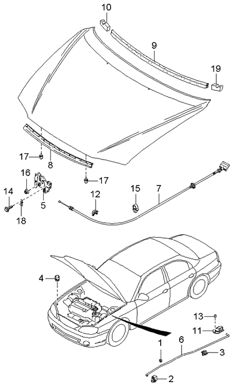 2003 Kia Spectra Hood Trim Diagram