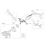 Diagram for 2014 Kia Sorento Fog Light Bulb - 1864755007S