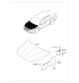 Diagram for Kia Cadenza Hood Hinge - 791103R000