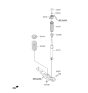 Diagram for Kia Sorento Coil Spring Insulator - 55331C5000