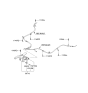 Diagram for 2013 Kia Forte Parking Brake Cable - 597501M000