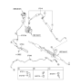 Diagram for 2011 Kia Forte Power Steering Hose - 575601M501