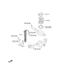 Diagram for 2021 Kia Sedona Coil Spring Insulator - 55331A9000